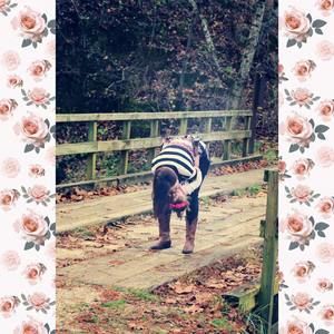 Meet your Posher, Kara