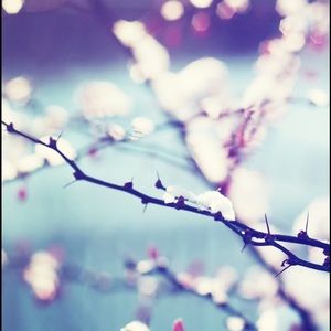 Meet your Posher, Shams