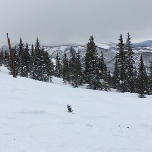 Meet your Posher, Juliann