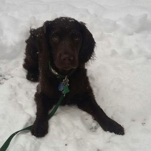 Meet your Posher, Brooke