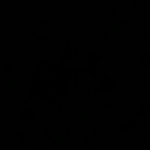 Meet your Posher, Ashlee