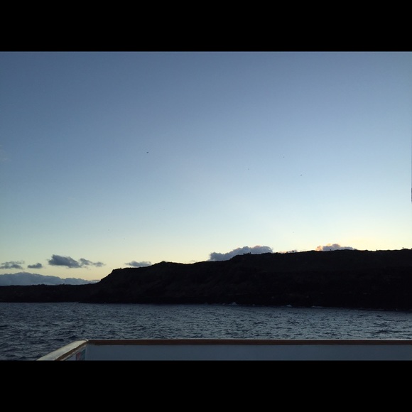 Meet your Posher, Tim - Picture 1 of 1