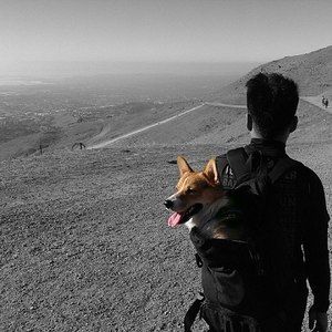 Meet your Posher, Leon