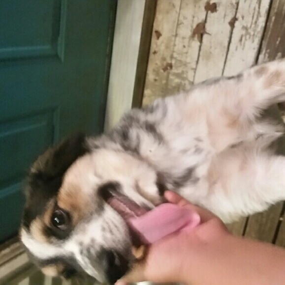 Meet your Posher, Andrew - Picture 1 of 1