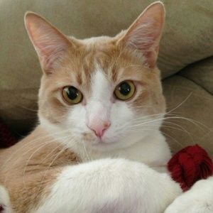 Meet your Posher, Roberto