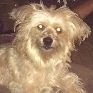 Meet your Posher, April