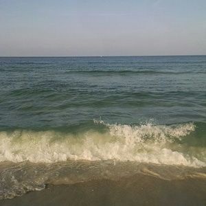 Meet your Posher, Sherry