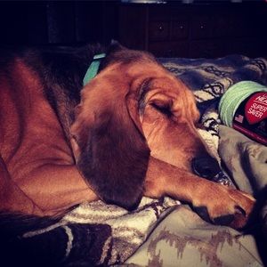 Meet your Posher, Jamie