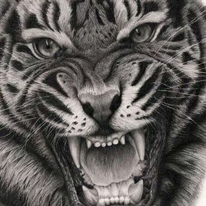 Meet your Posher, Derrick