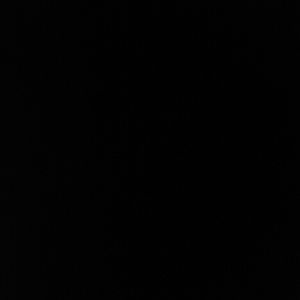 Meet your Posher, Dalton