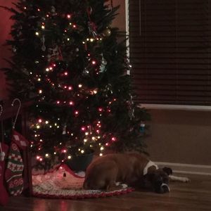 Meet your Posher, Nikki