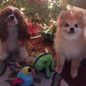 Meet your Posher, Brianna