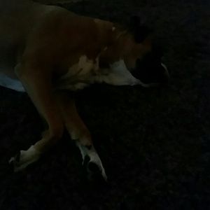 Meet your Posher, Sean