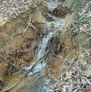 Meet your Posher, Hailey