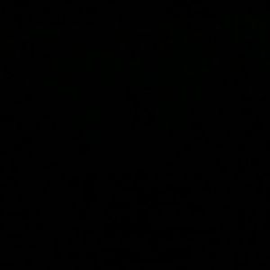 Meet your Posher, Shari