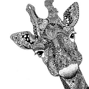 Meet your Posher, Kia