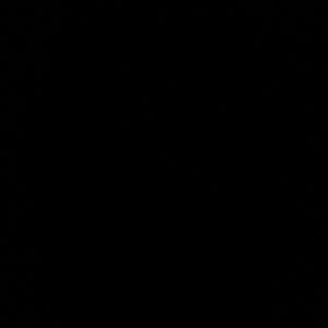 Meet your Posher, Cynthia