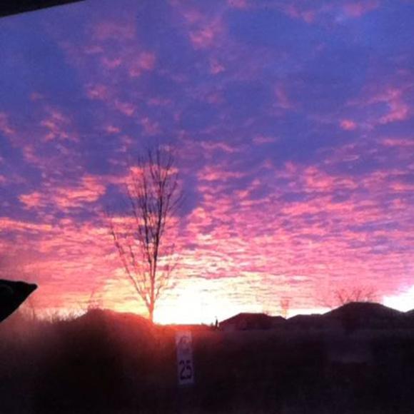 Meet your Posher, Jake - Picture 1 of 1