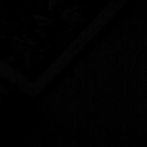 Meet your Posher, Cody