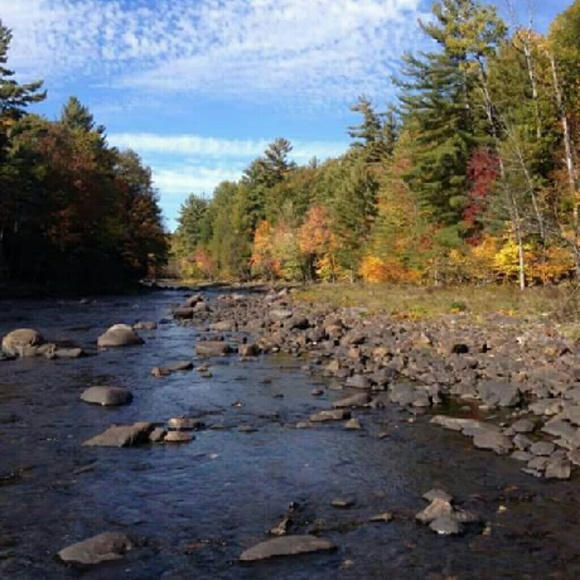 Meet your Posher, Keenan - Picture 1 of 1