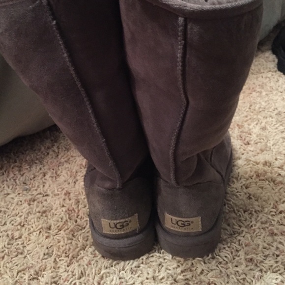 tall gray Uggs