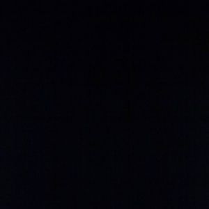 Meet your Posher, Tracilyn