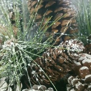 Meet your Posher, Rodney