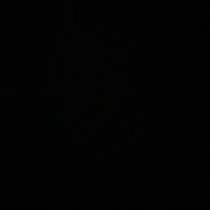 Meet your Posher, Dashauna