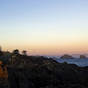 Meet your Posher, Siva