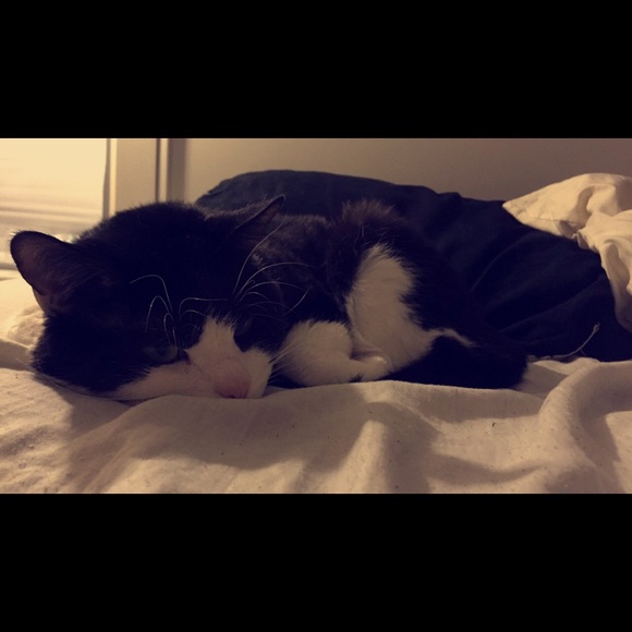 Meet your Posher, Ashleigh - Picture 3 of 4