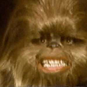 Meet your Posher, Michaela