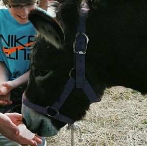 Meet your Posher, Bailey