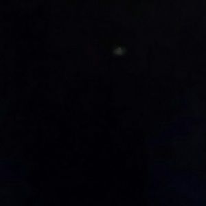 Meet your Posher, Gilda