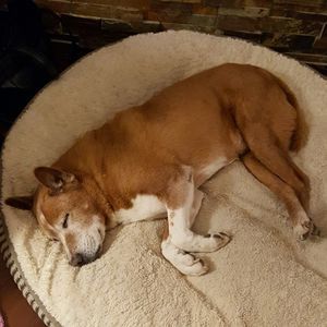 Meet your Posher, Tony