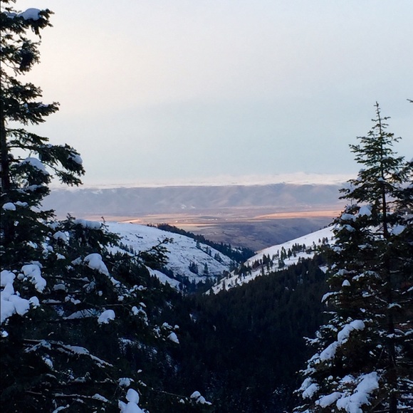 Meet your Posher, Kaitlyn - Picture 1 of 1