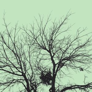 Meet your Posher, Vicky