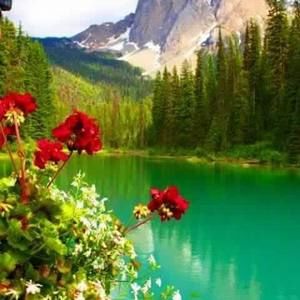 Meet your Posher, Lourdes