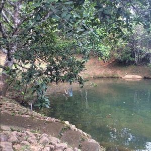 Meet your Posher, Rex