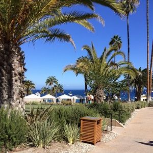 Meet your Posher, Evelyn