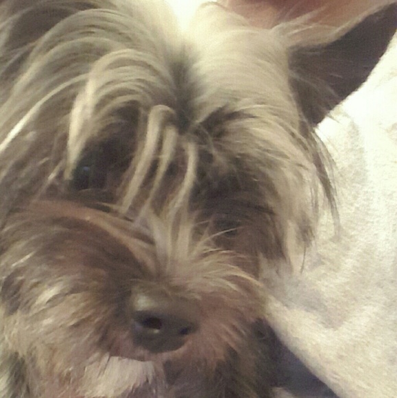 Meet your Posher, Telisha