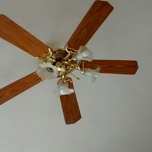 Meet your Posher, Leila