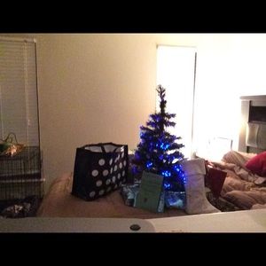 Meet your Posher, Dylan