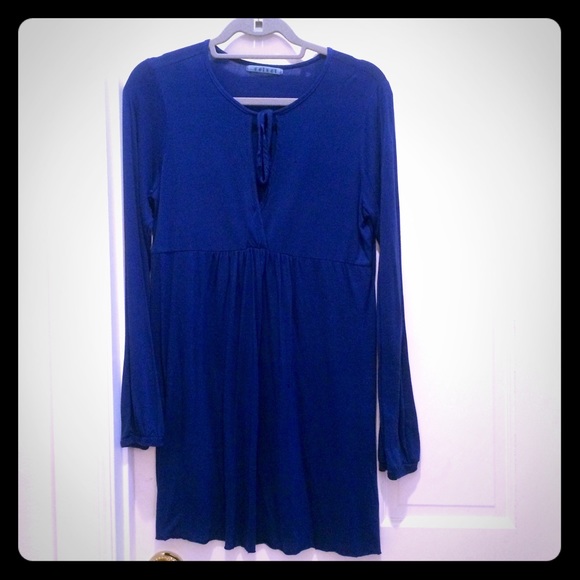 Anthropologie Velvet brand long-sleeve dress sz L