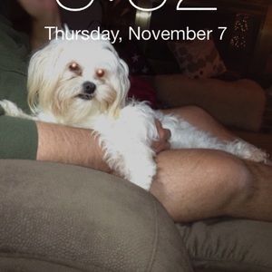 Meet your Posher, Deborah