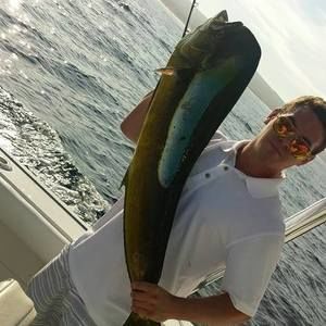 Meet your Posher, Clayton