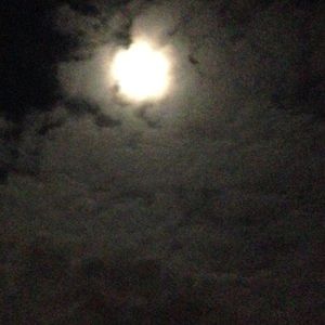 Meet your Posher, Tara