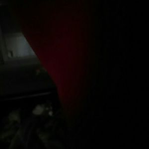 Meet your Posher, Shania