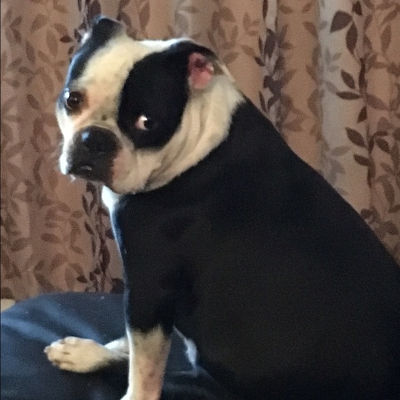 Meet your Posher, Jul