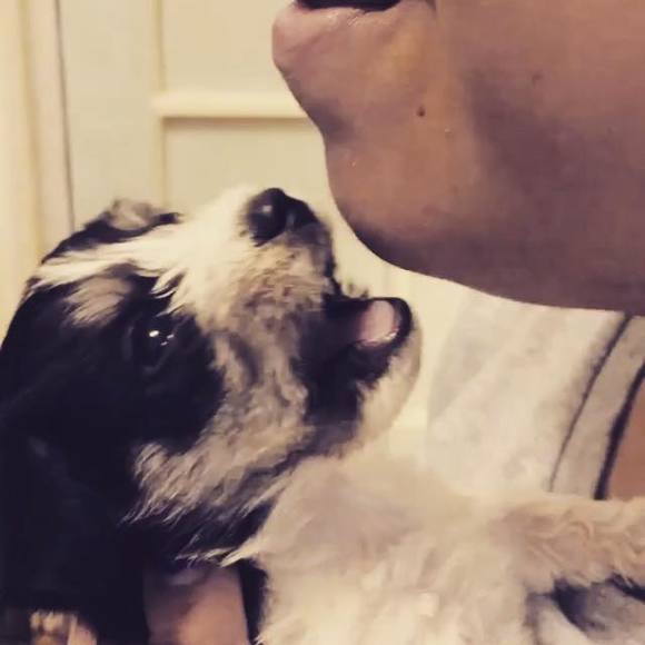 Meet your Posher, Frances