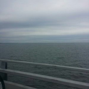 Meet your Posher, Roxanne